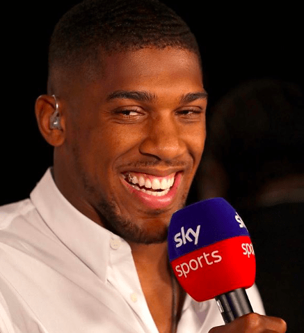 Povetkin in September and Then Wilder in April For Joshua?