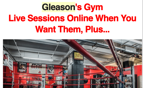 Anyone Anywhere Around the World Can Train With a Gleason’s Gym Trainer!