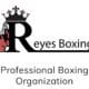 Reyes Boxing Has Strong Base To Finish 2021, Excel In 2022