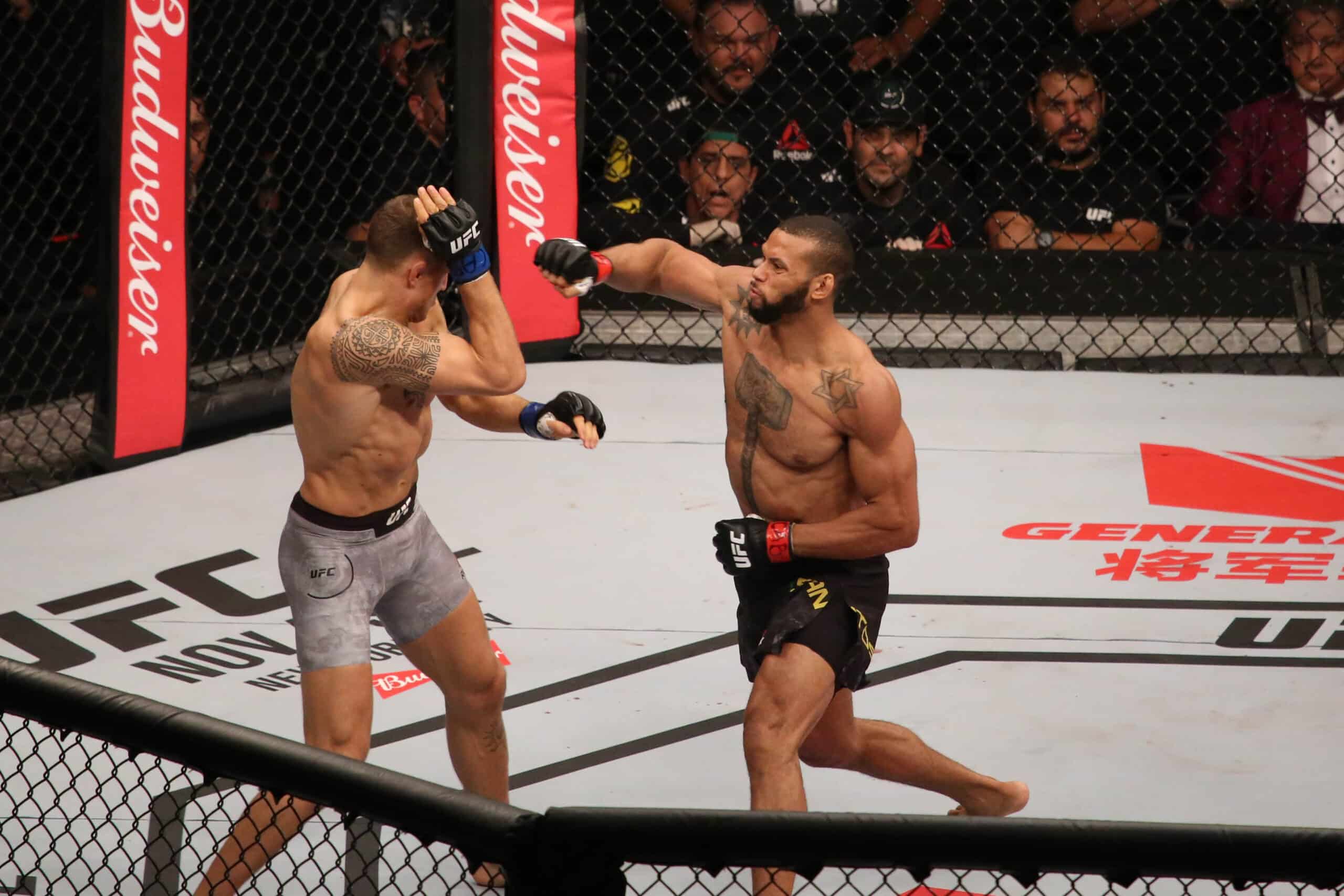 What s The Difference Between UFC And MMA NY FIGHTS