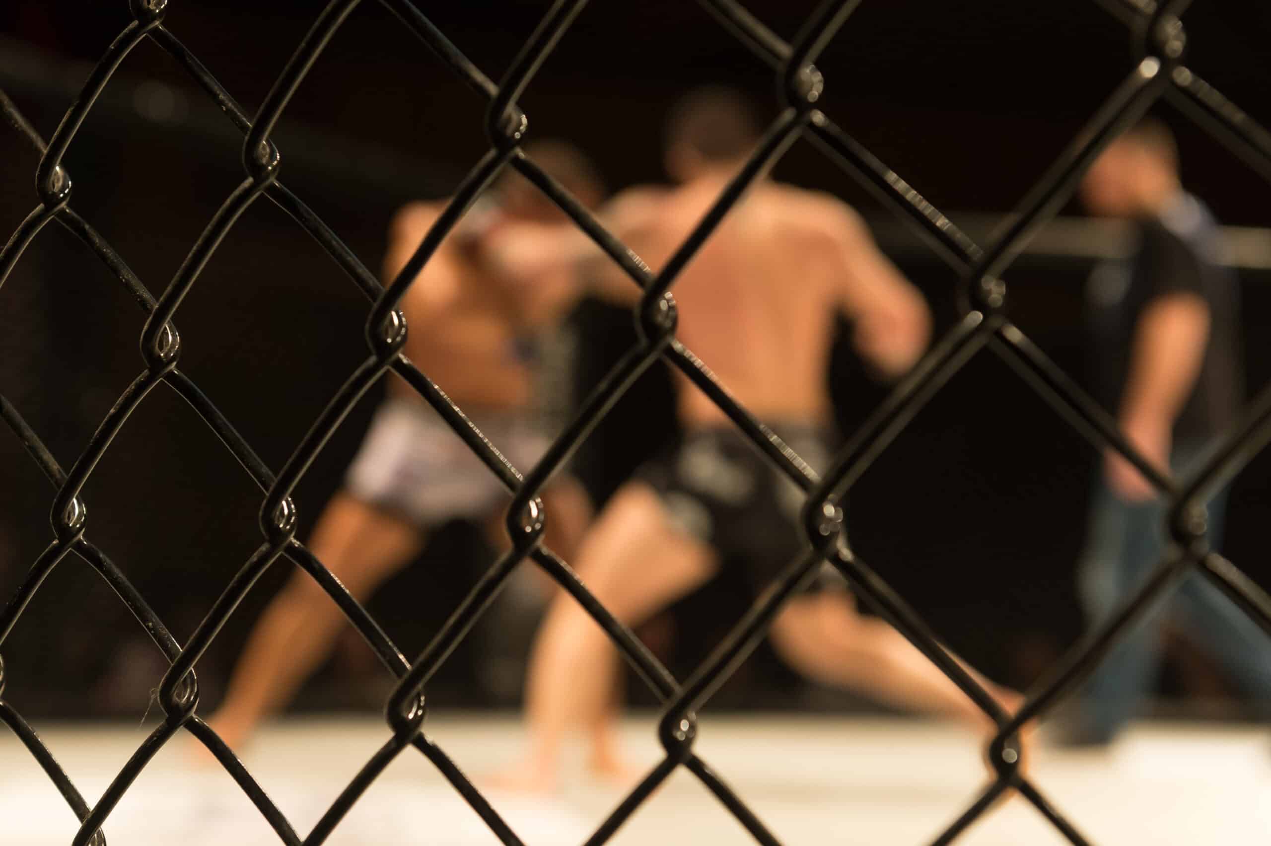 draftkings ufc promos
