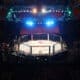 Why iGaming Companies Are Investing in MMA Promotions