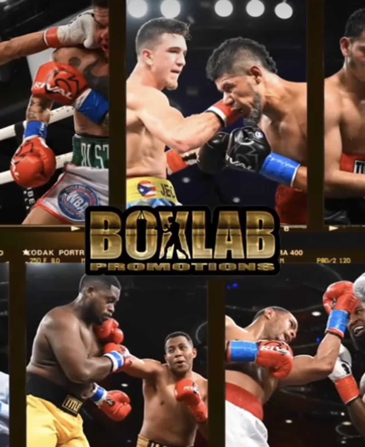 Report From Boxlab Promotions Orlando Card NY FIGHTS