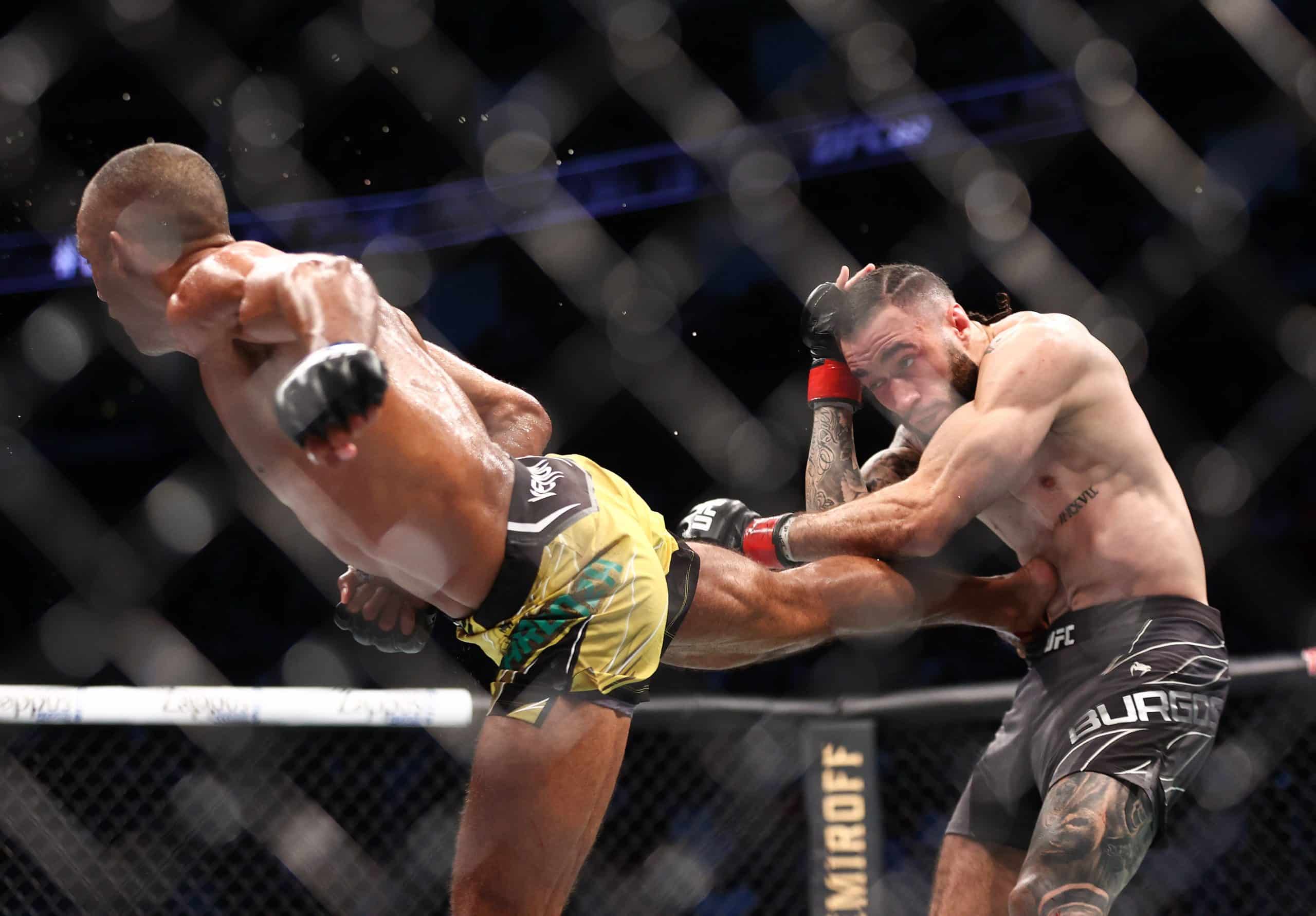 Quarantillo vs Barboza prediction