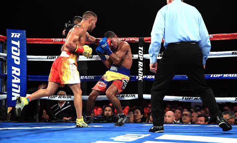 Vasiliy Lomachenko took Miguel Marriaga apart in a dazzling performance. Photo: Mikey Williams, Top Rank Boxing