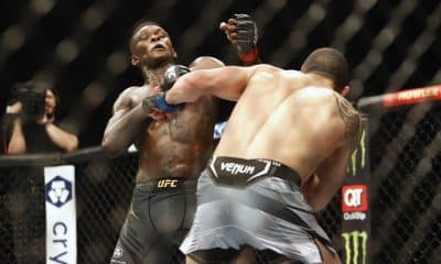 UFC 293 Fight Card: A Spicy Card in Sydney