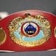 Tszyu vs Mendoza Prediction