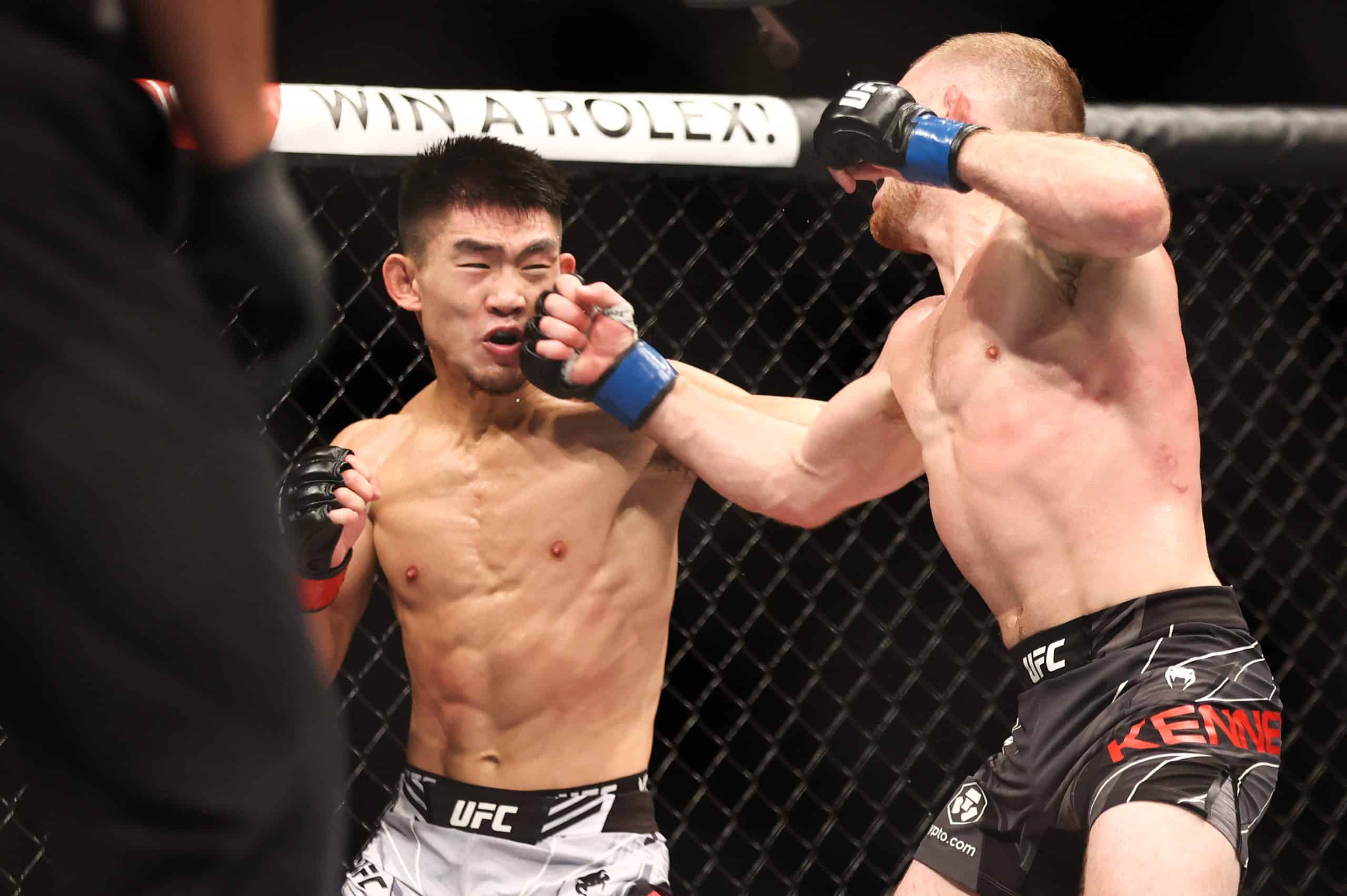 UFC Fight Night 233 Predictions