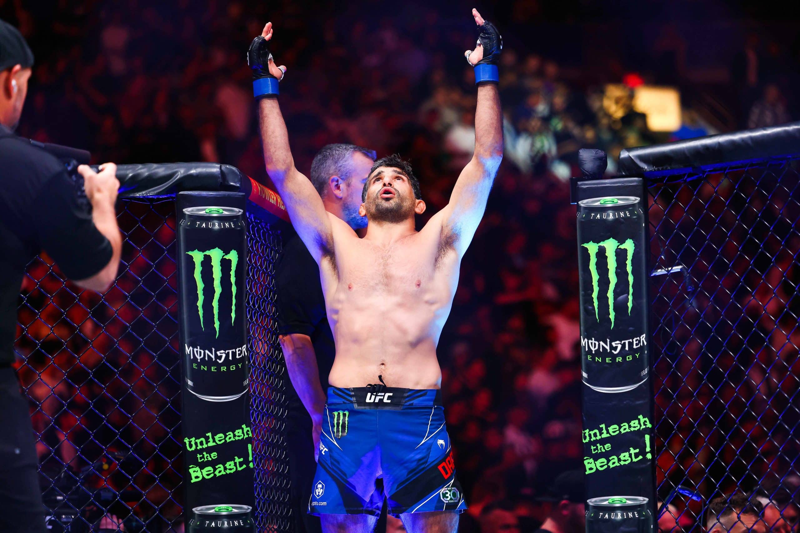 Dariush vs Tsarukyan prediction