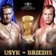 REWIND: Remember Oleksandr Usyk v Mairis Briedis?