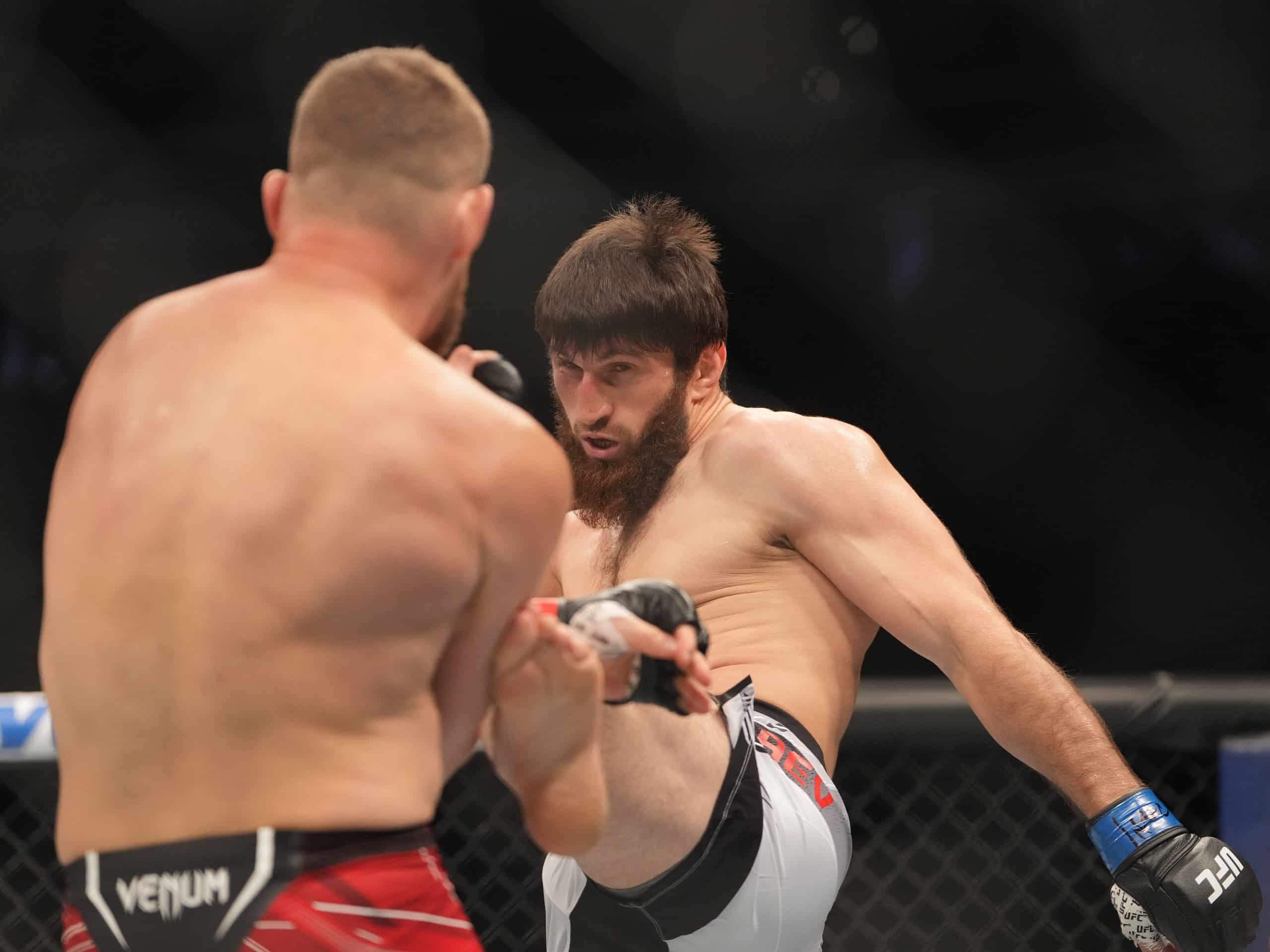 UFC Fight Night 234 Predictions