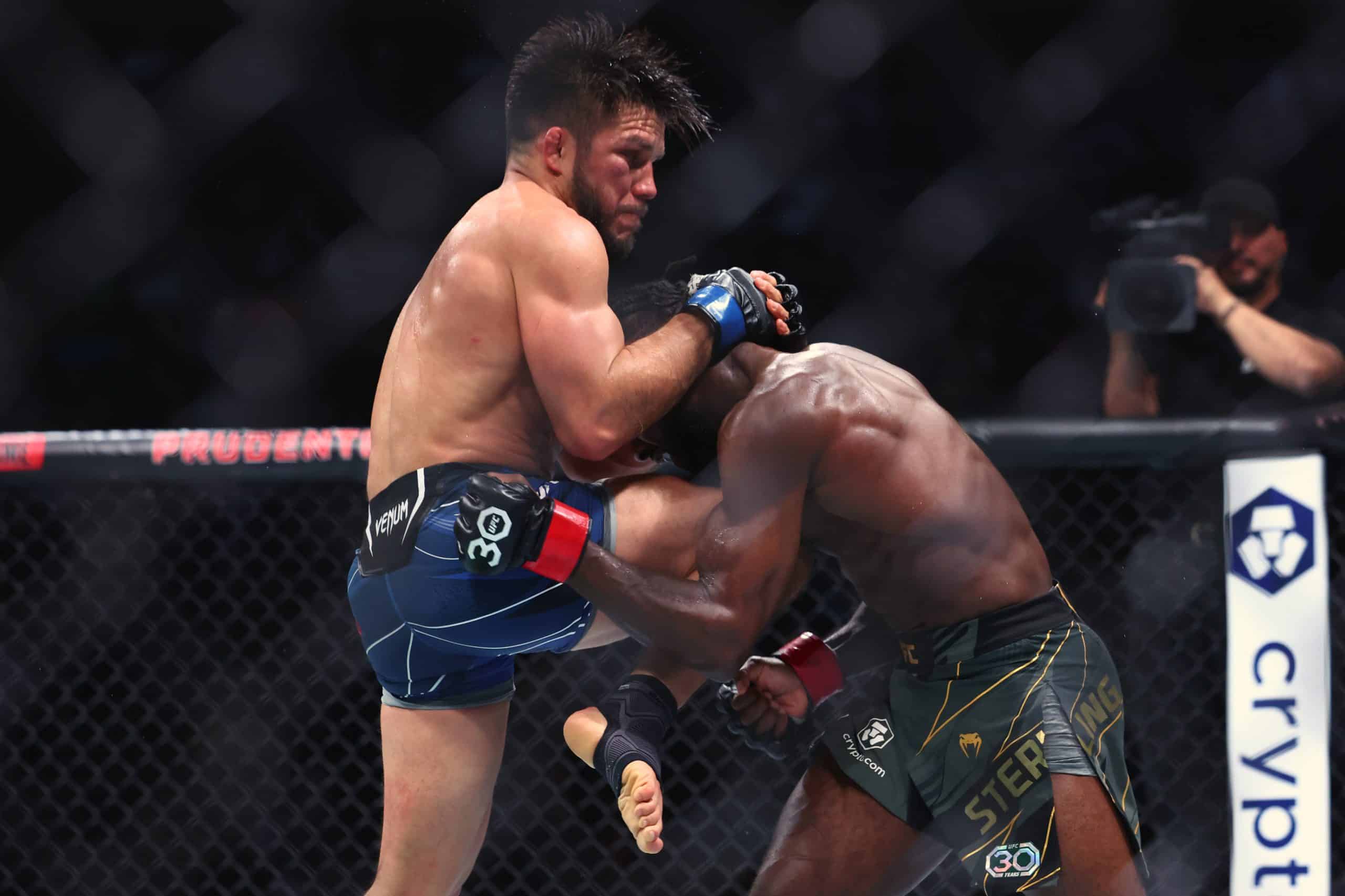 Dvalishvili vs Cejudo Prediction