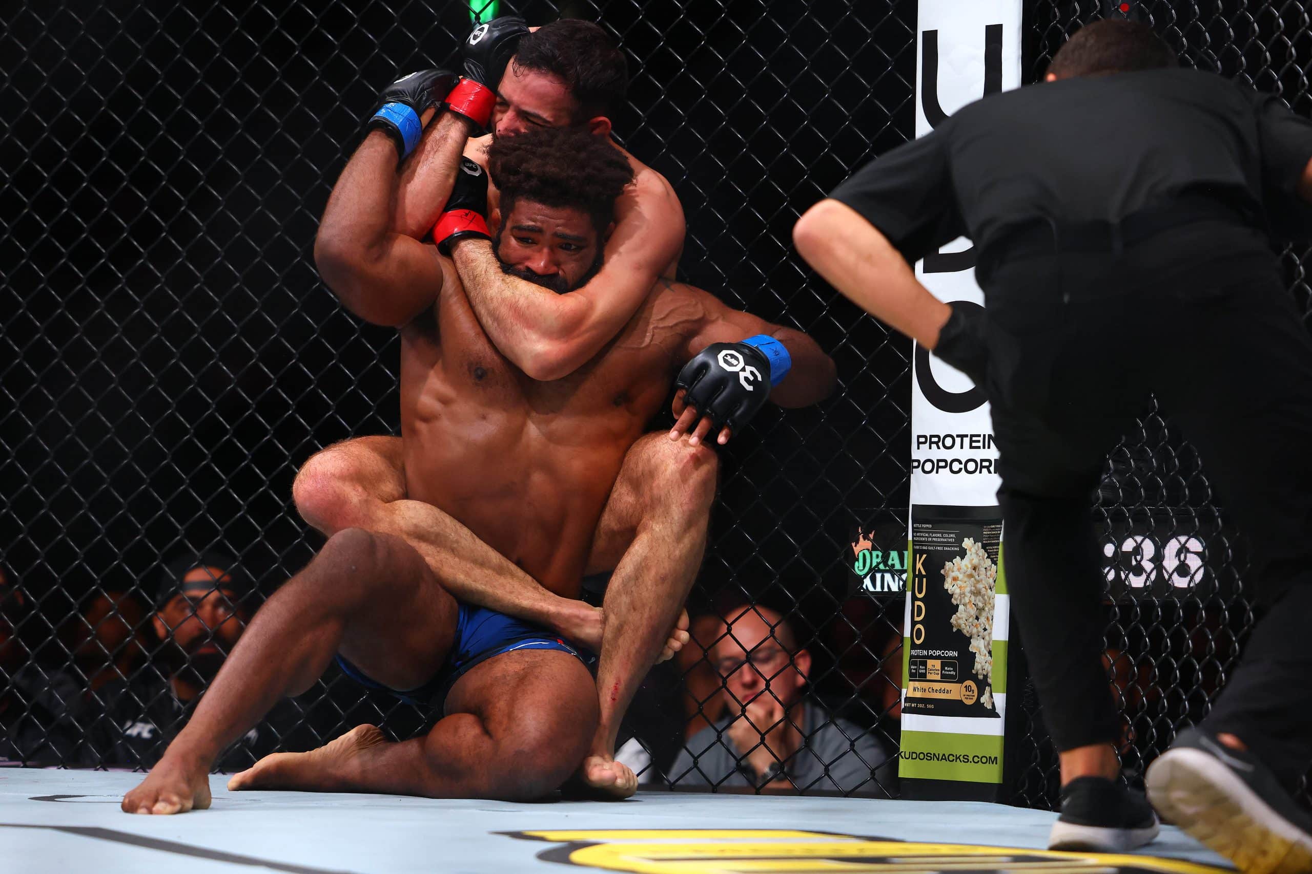 UFC Fight Night 235 fight card