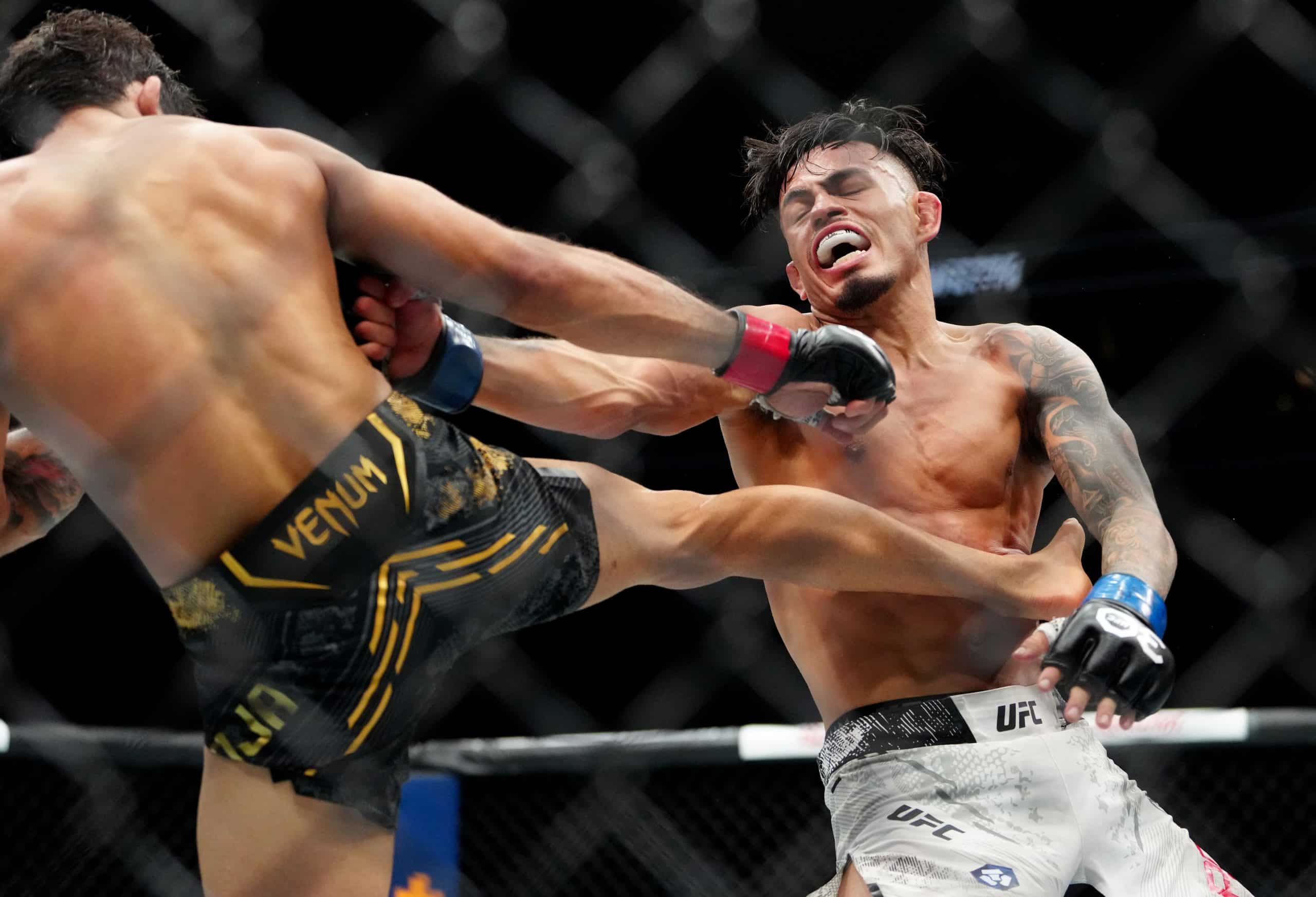 UFC Fight Night 237 payouts