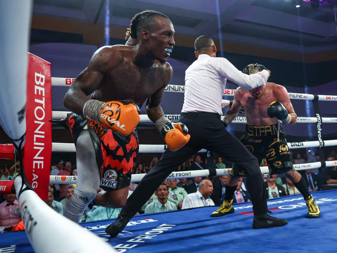 Foster vs Nova Purse