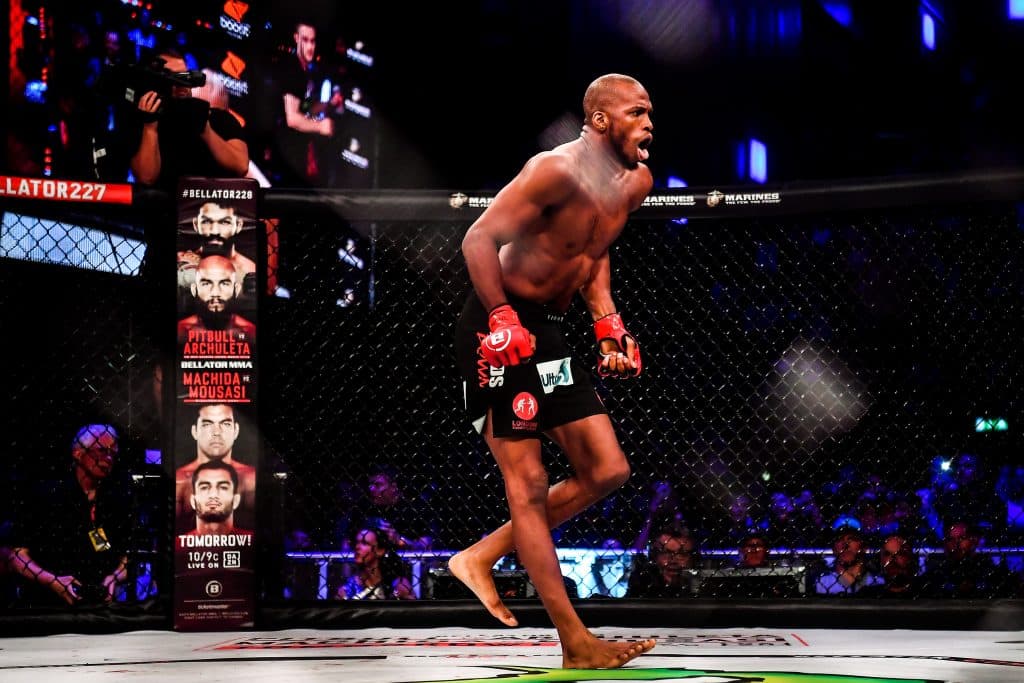Holland vs Page Prediction: A Venomous UFC Introduction - NY FIGHTS