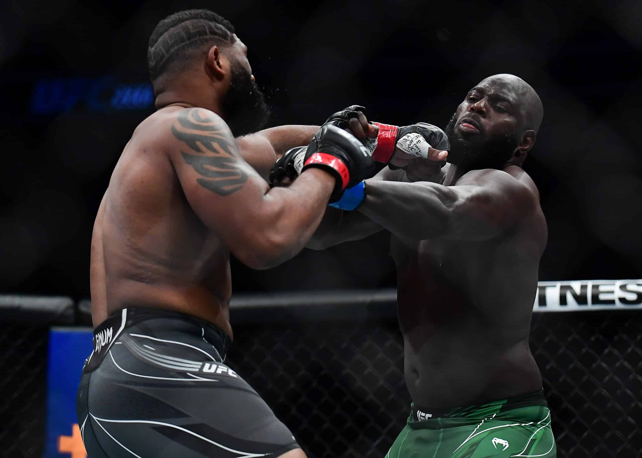 UFC Fight Night 238 Predictions