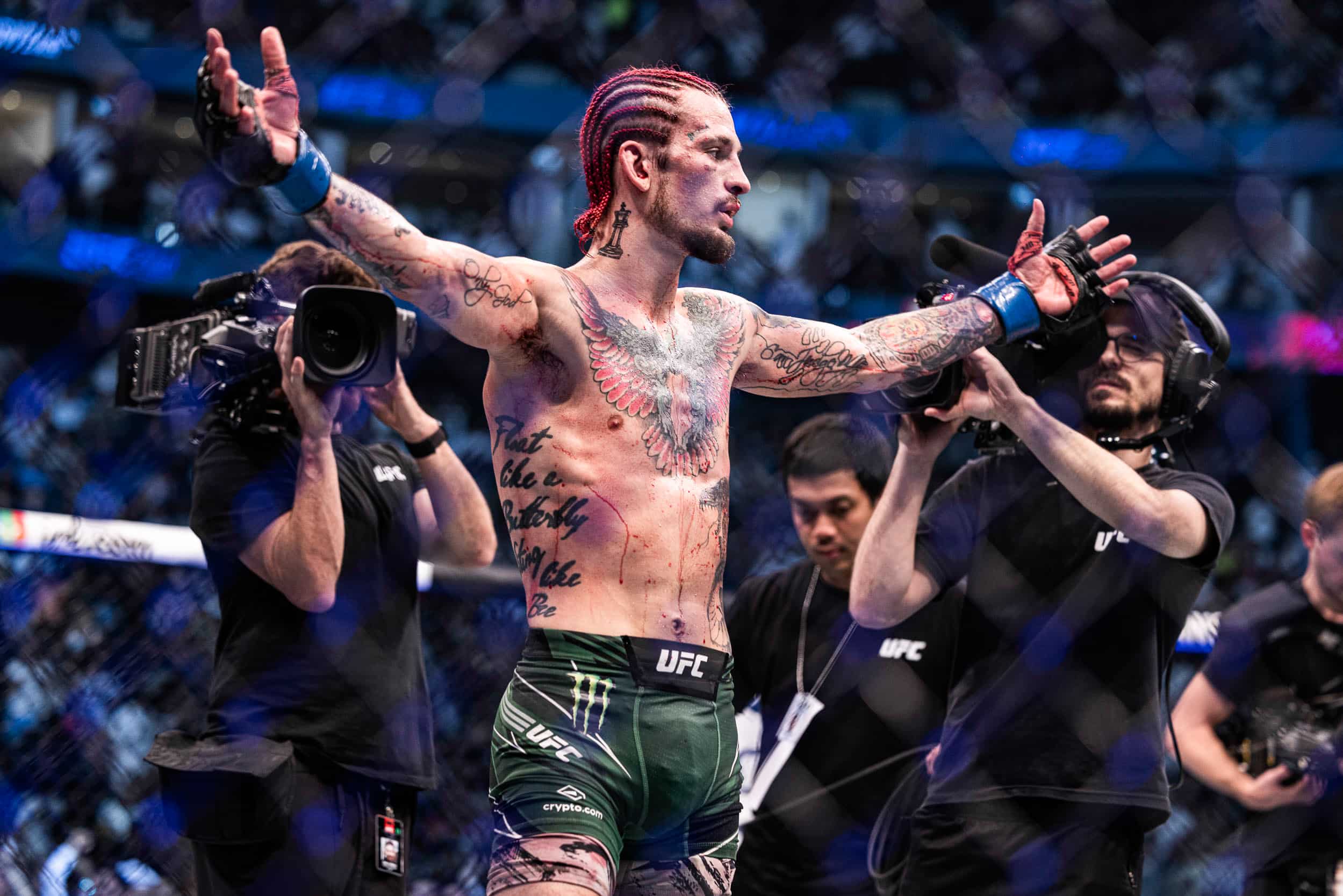 O'Malley vs Vera prediction