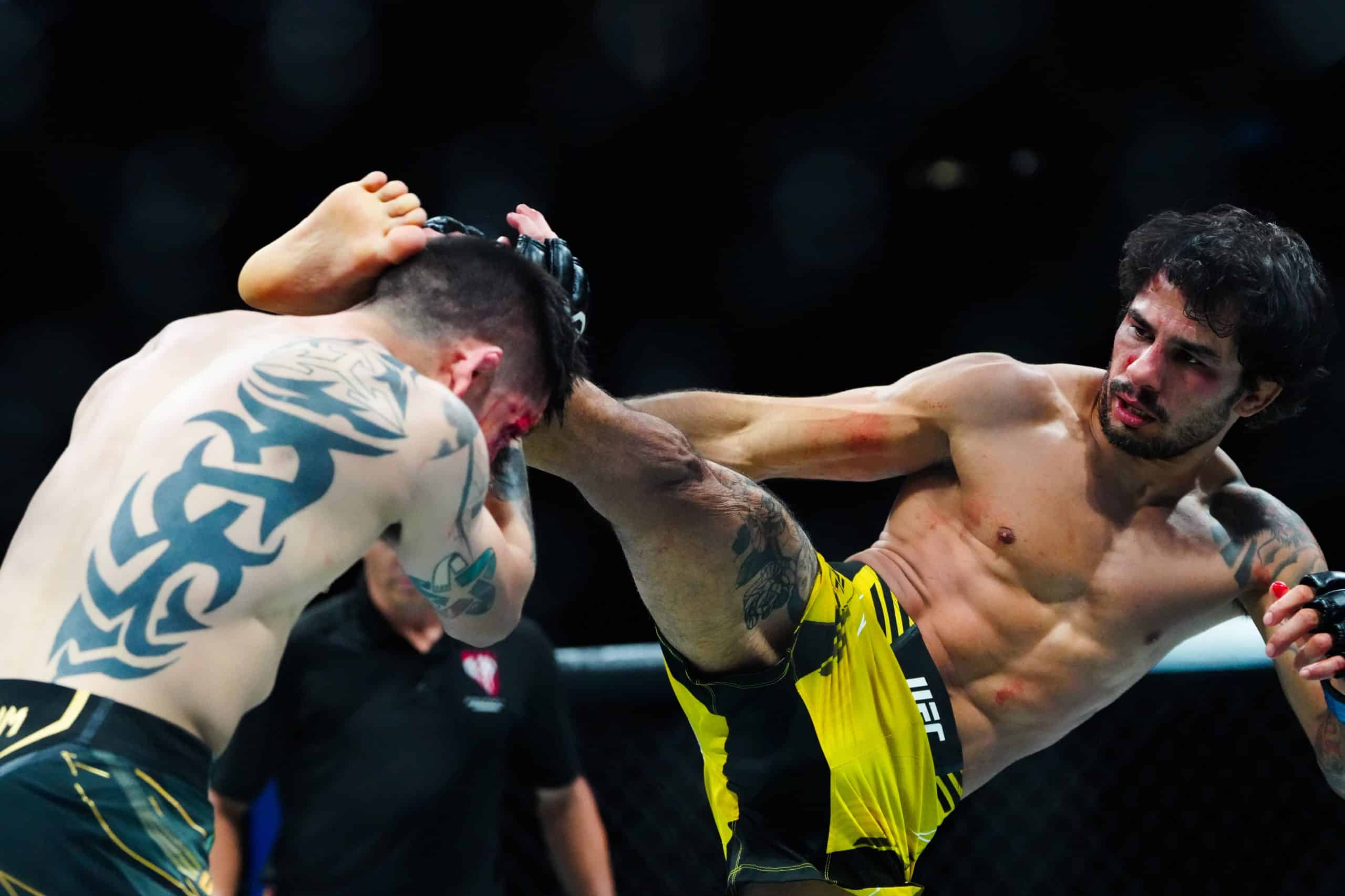 Pantoja vs Erceg Prediction