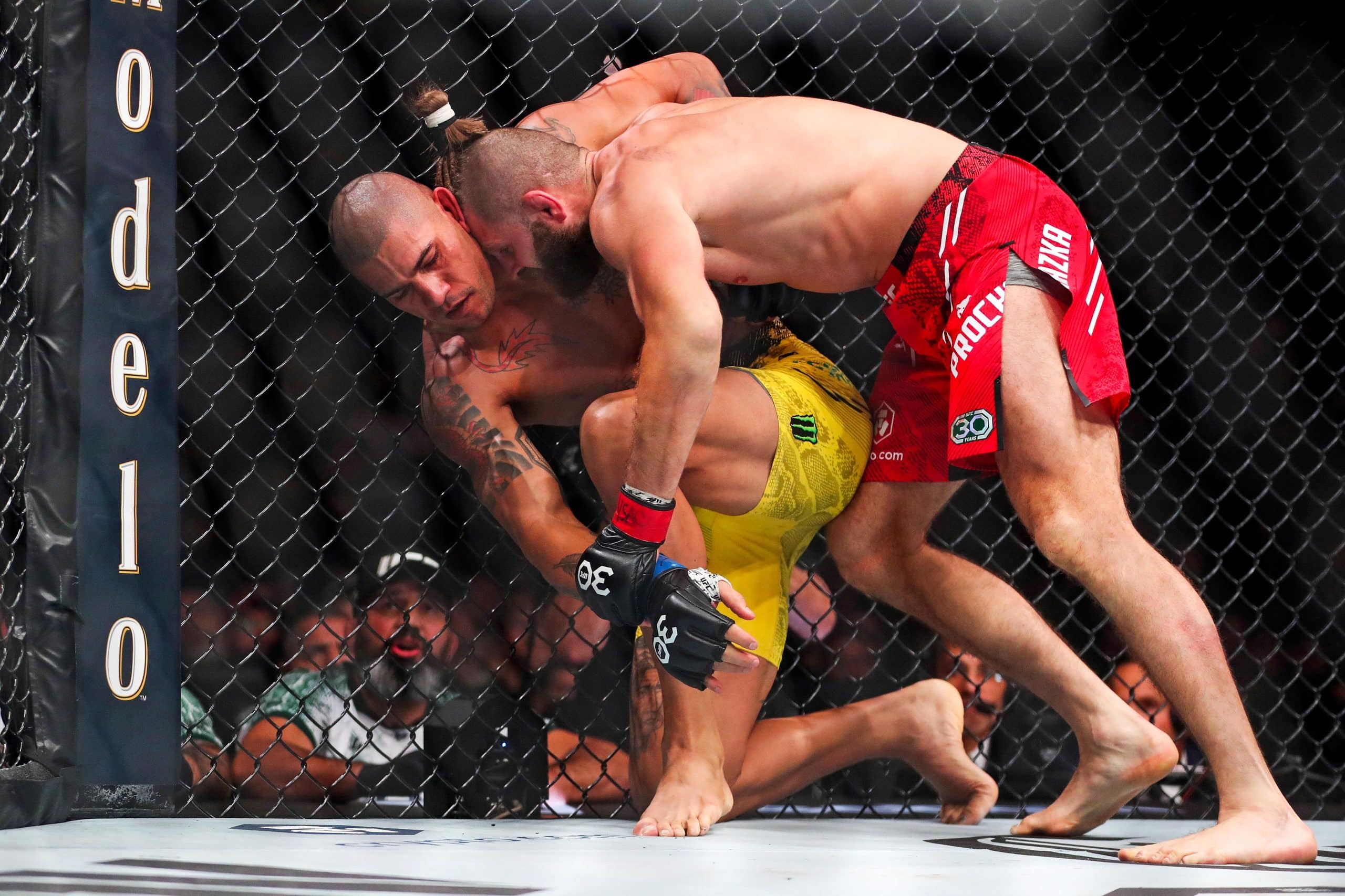 Pereira vs Hill Prediction