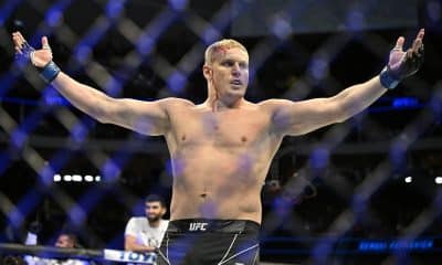 Pavlovich vs Volkov Prediction: One Punch Is All It Takes