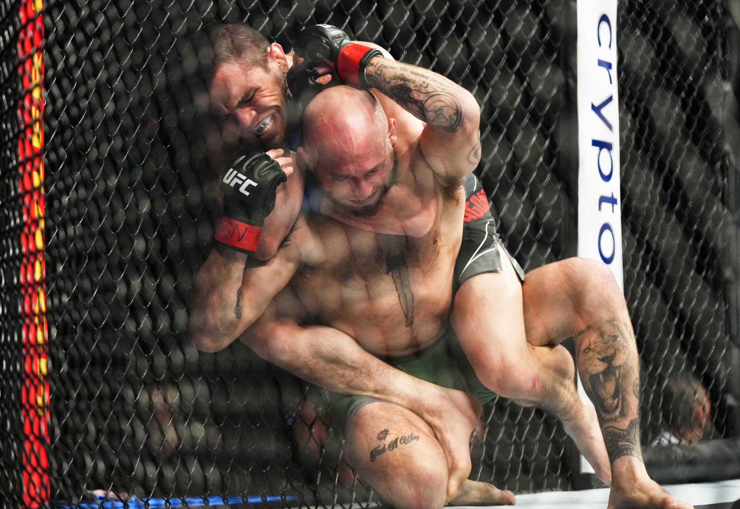 UFC Abu Dhabi predictions