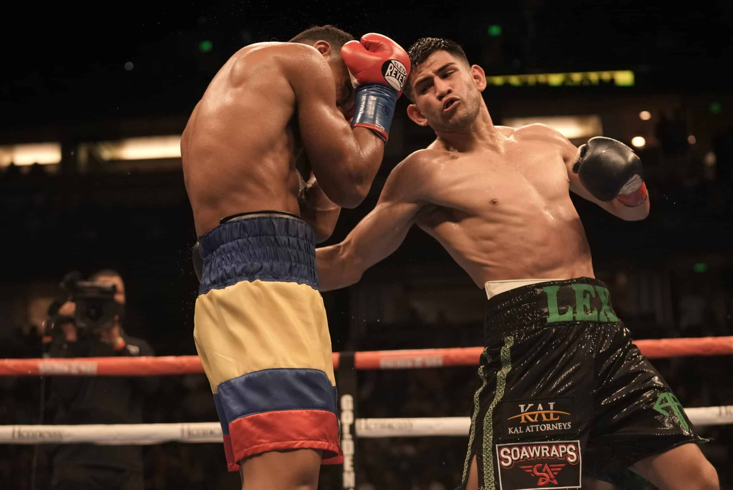 Rocha vs Dominguez Prediction