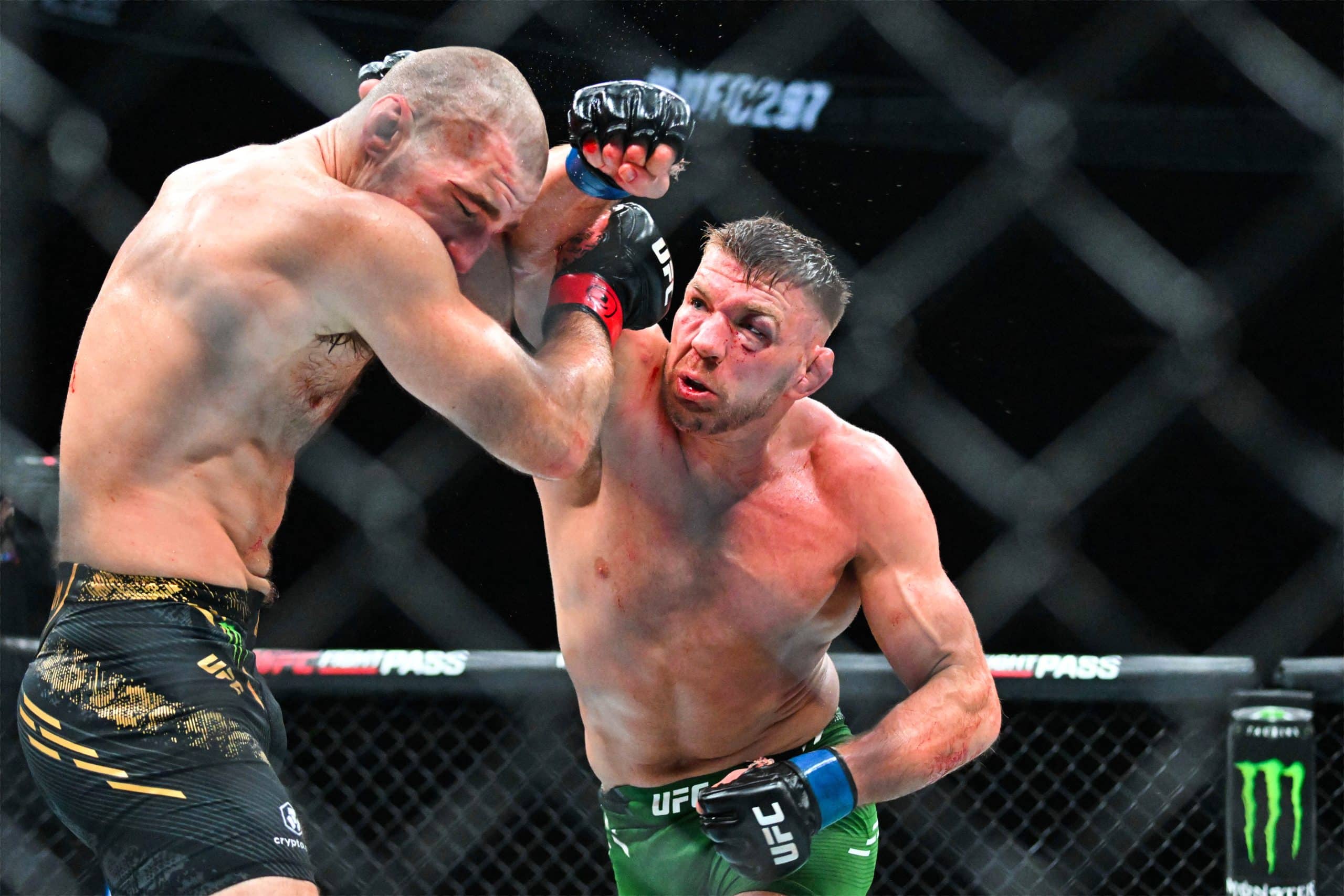 UFC 305: Du Plessis vs Adesanya Predictions