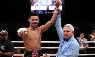 Pacheco vs Sulecki Purse: Does It Pack a Punch?