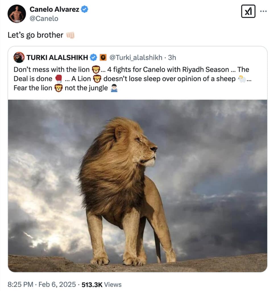 Canelo Alvarez gave his seal of approval to the social media posts by Turki Alalshikh, confirming his Riyadh Season deal. Photo: Turki Alalshikh via Twitter