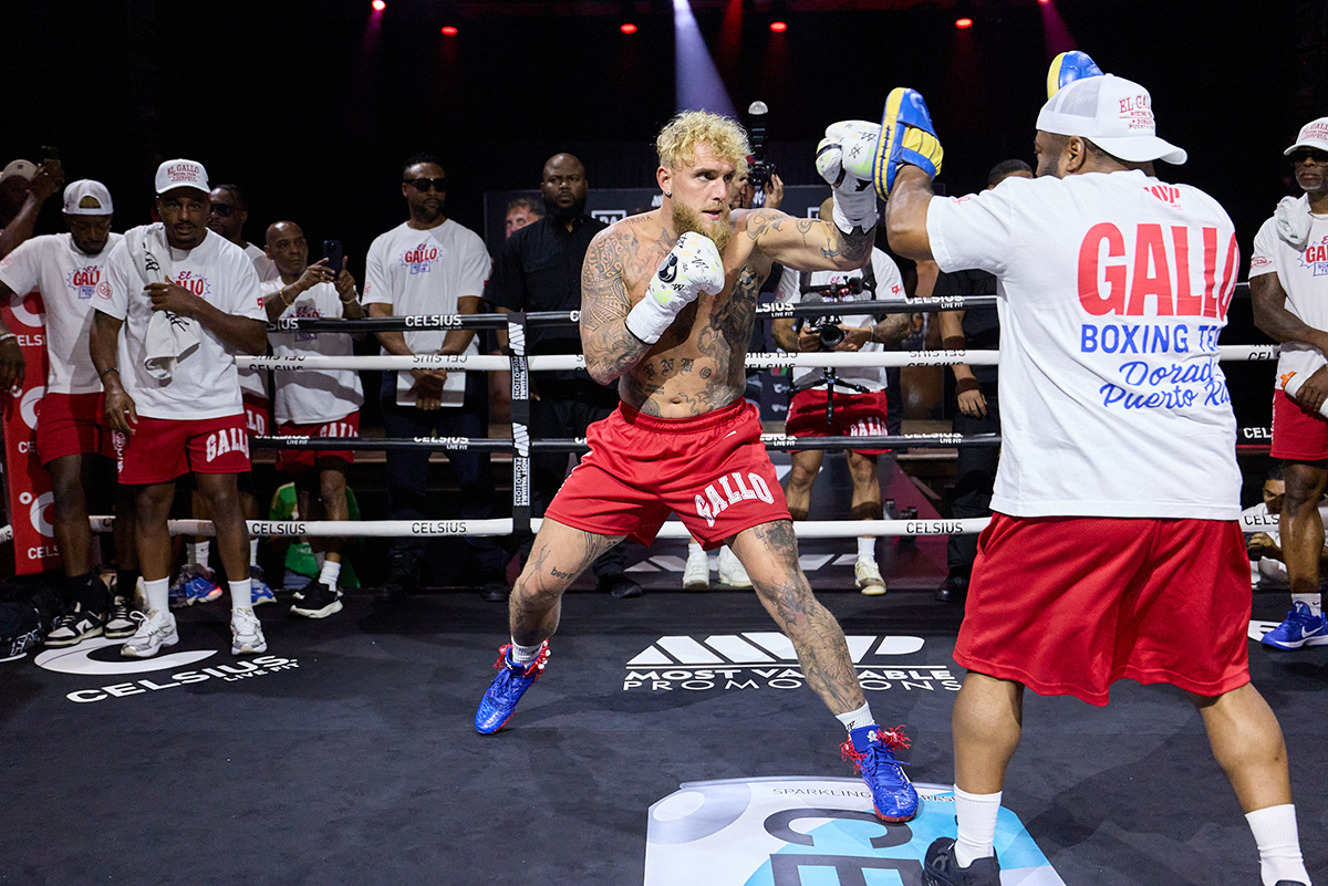 Jake Paul has won respect for his work ethic, if not his ring skills. Photo: Esther Lin, Most Valuable Promotions