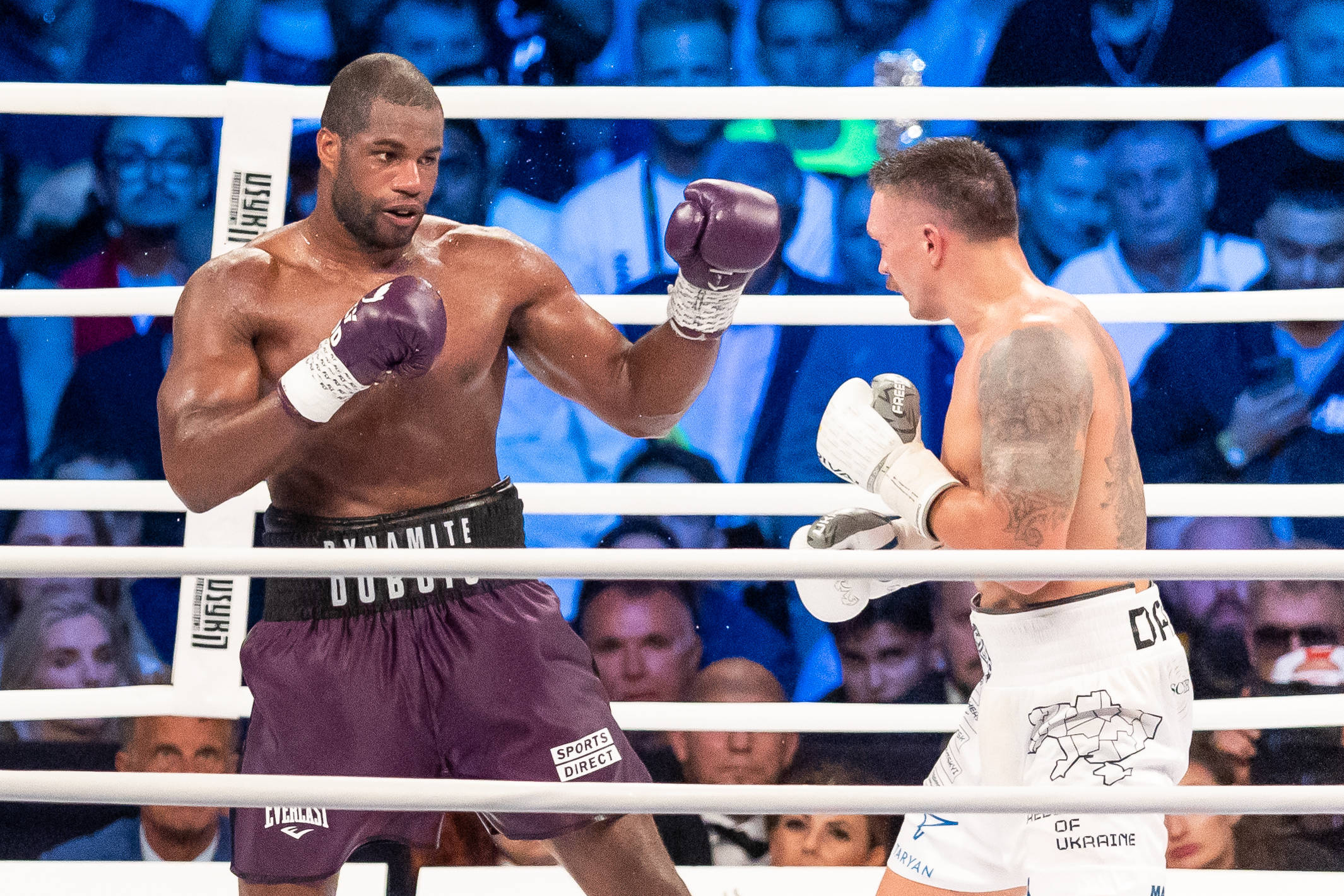 Month Before the Fight: Training Camps Ahead of Usyk vs Dubois II