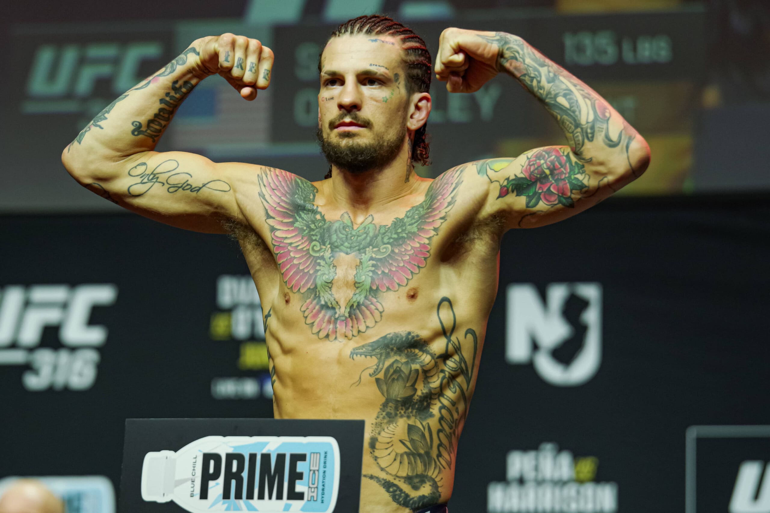 Sean O’Malley Rubs Salt in Aljamain Sterling’s Wounds After Brian Ortega Beatdown