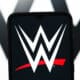 Former WWE Star Elayna Black Talks Mental Health Struggles From Wrestling