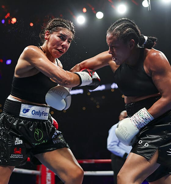 World Boxing Schedule: Dzambekov Returns, Final Bell for Braekhus, BKFC82
