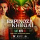 Espinoza vs Khegai Scheduled November 15 in Mexico