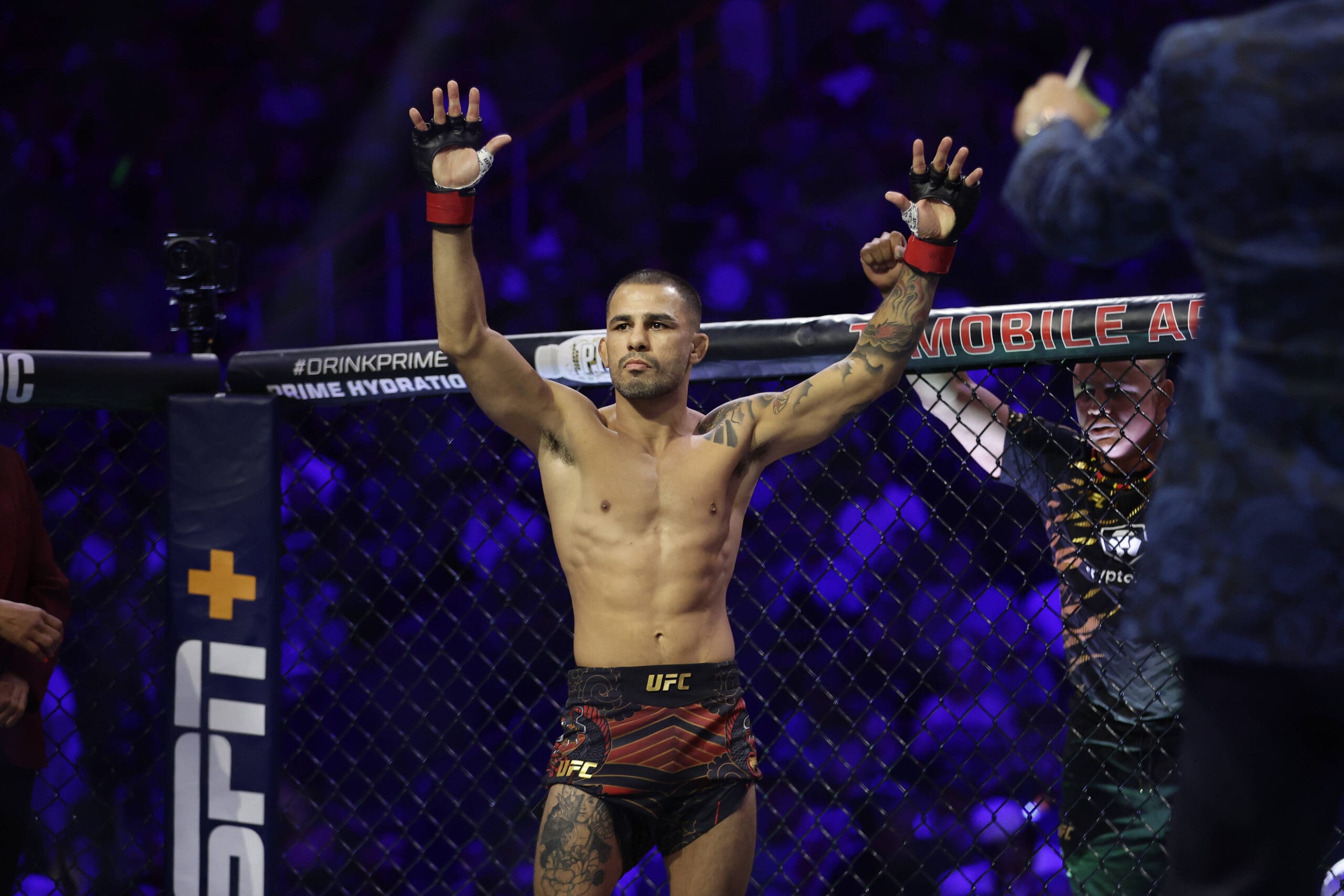 Alexandre Pantoja at UFC 317