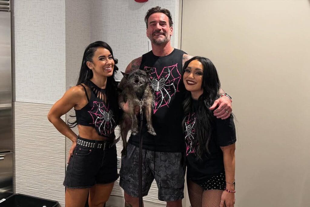 CM Punk, AJ Lee, Roxanne Perez