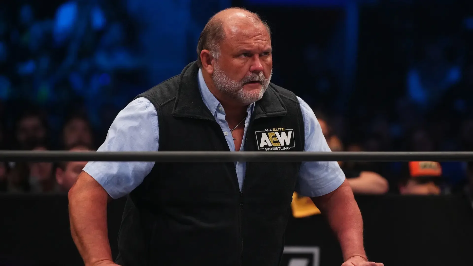 Arn Anderson