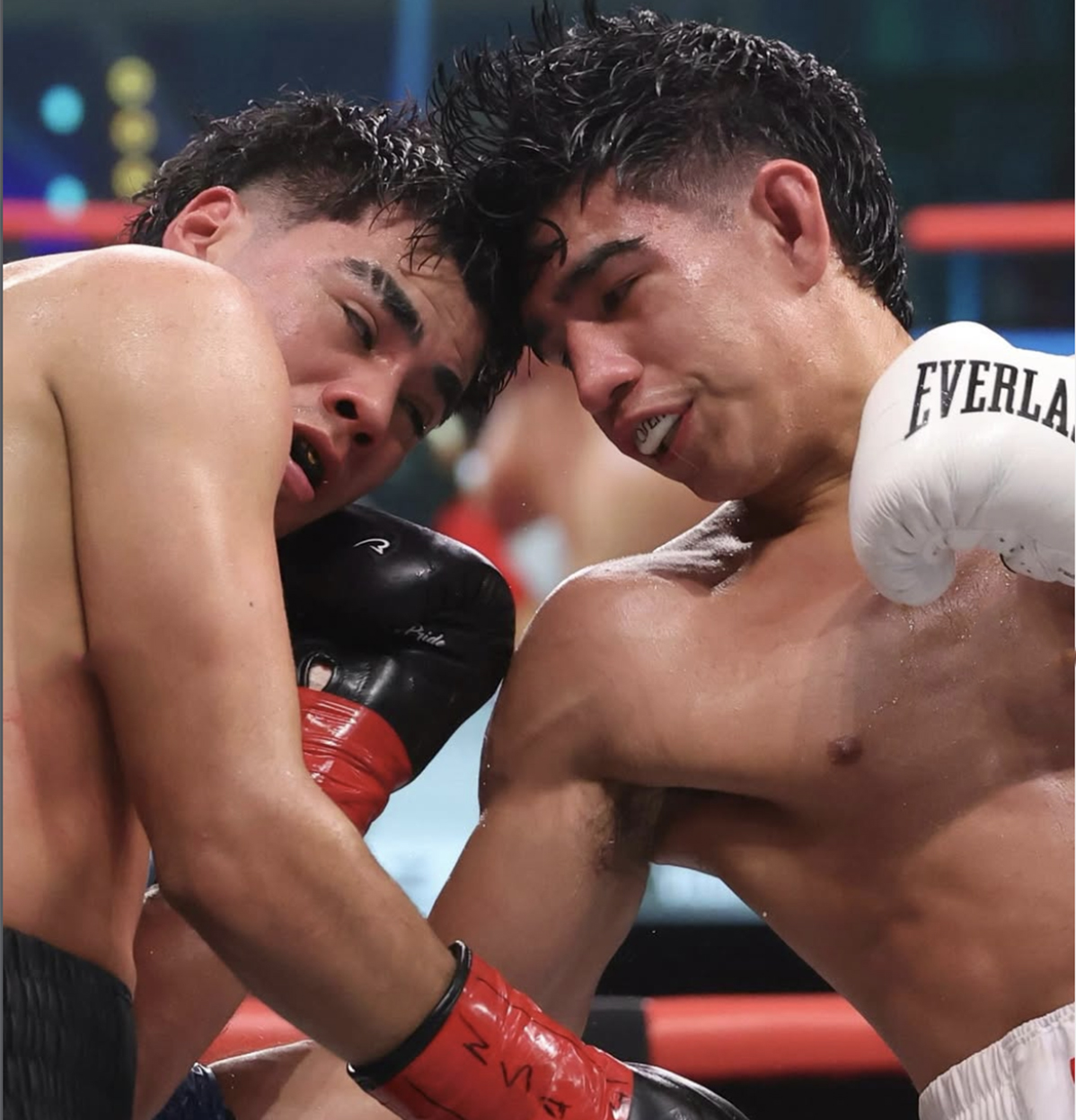 Justin Viloria is a thrilling fighter to watch and a promising lightweight prospect. Photo: Zuffa Boxing 02