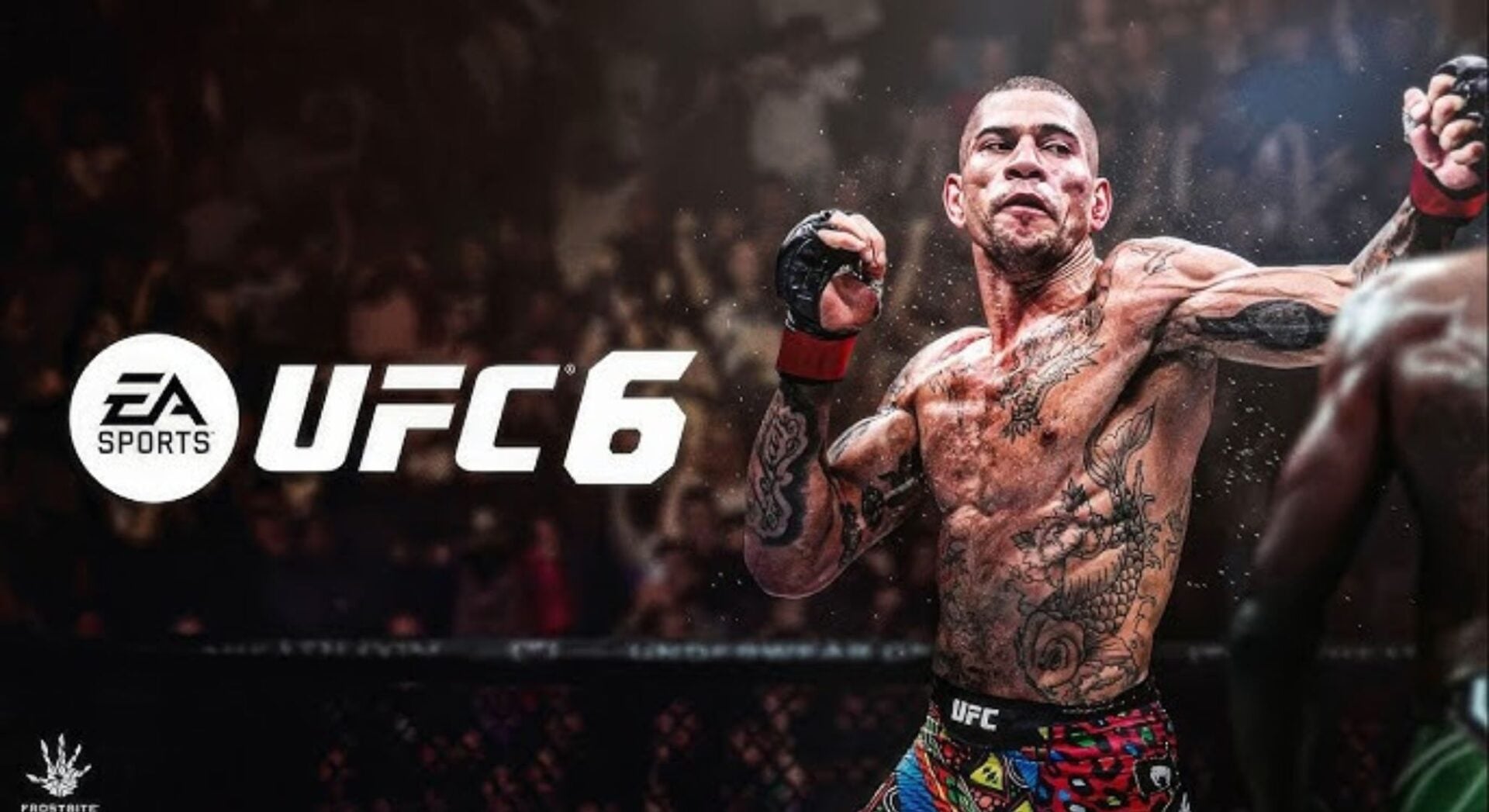 UFC 6 Standard Edition