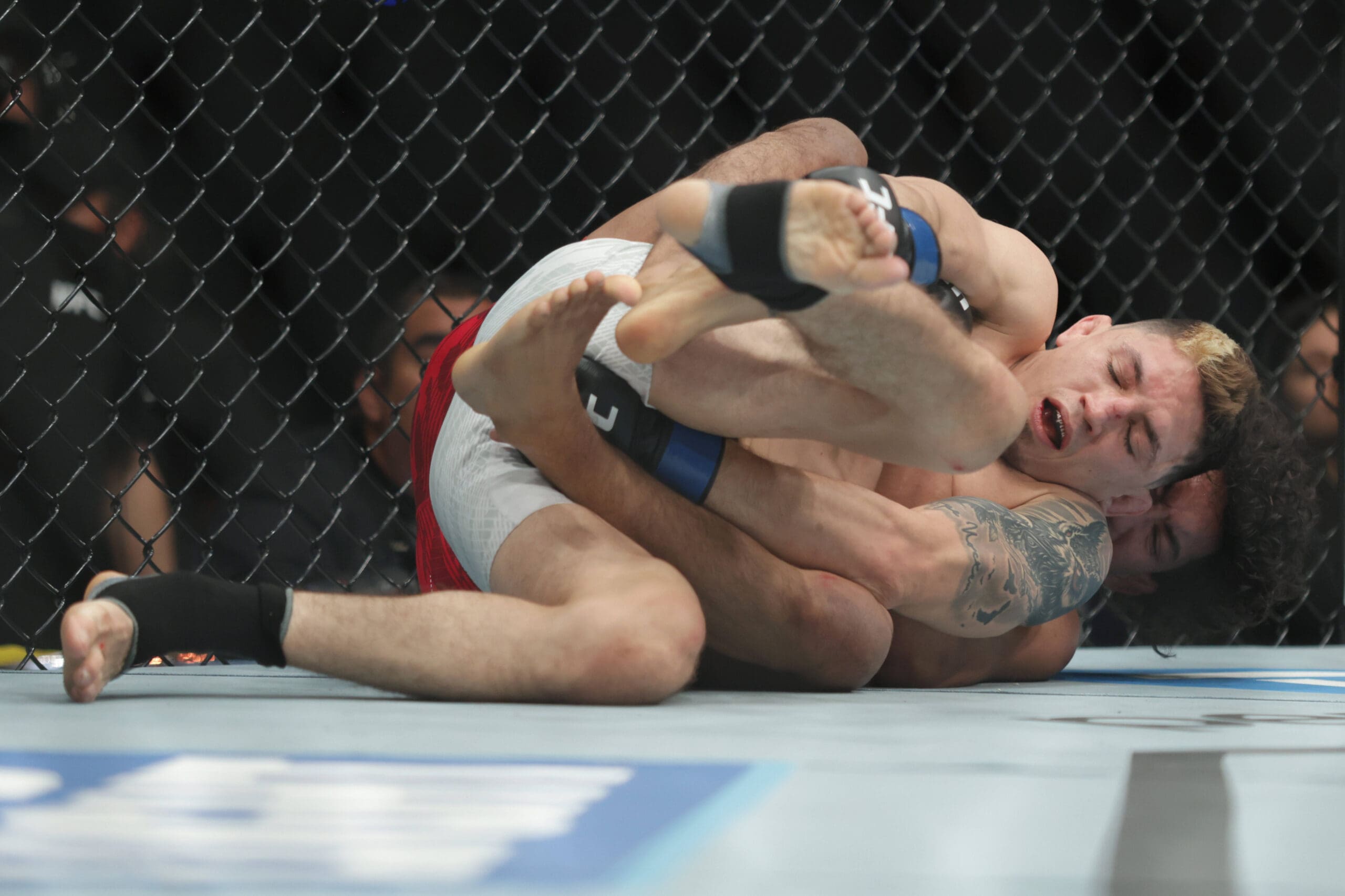 UFC Fight Night: Vince Morales V Rosas Jr.