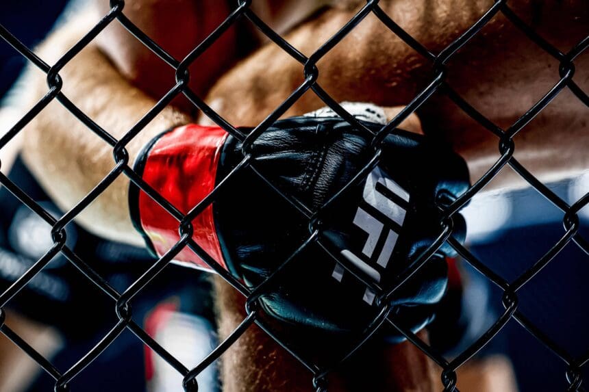 UFC logo