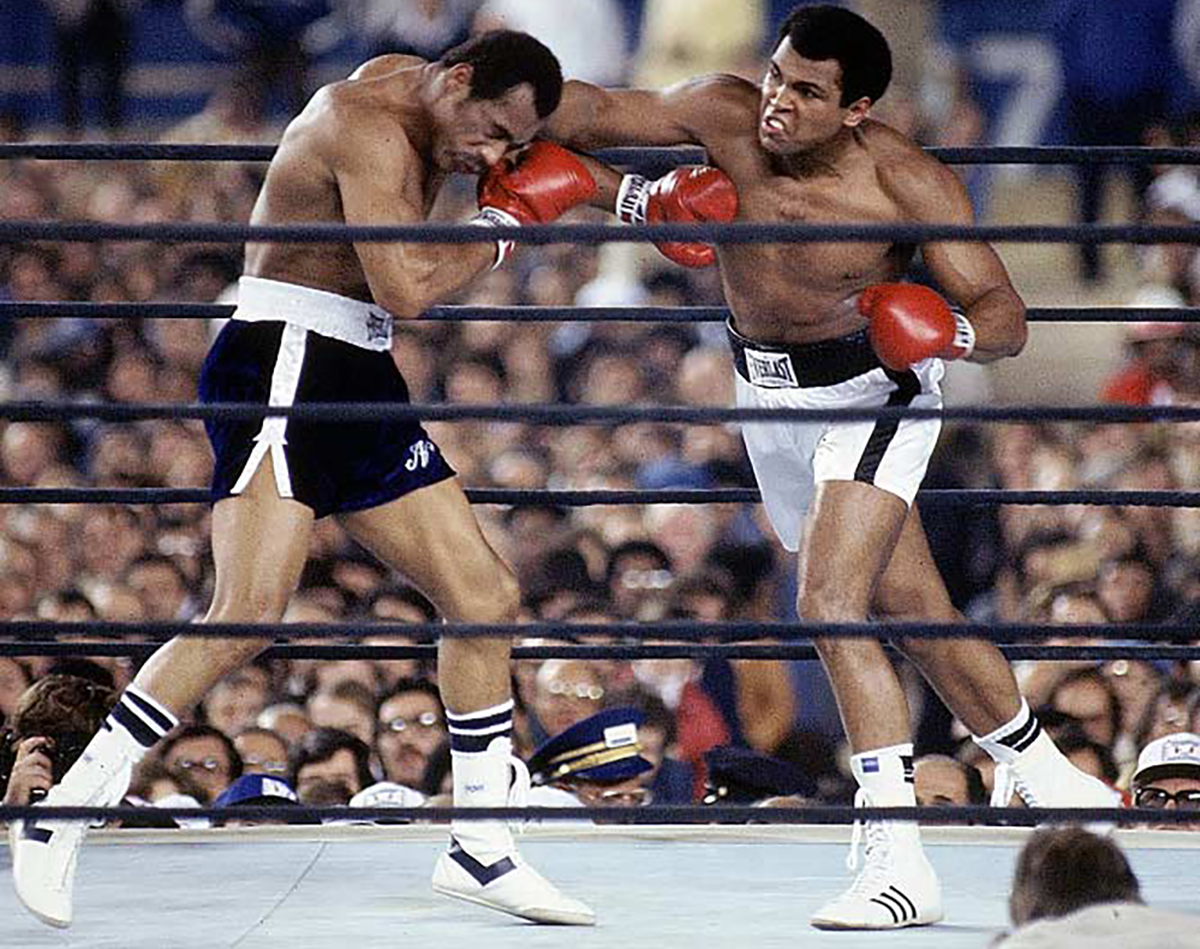 Muhammad Ali in action vs Ken Norton at Yankee Stadium on Sept. 28, 1976. Photo: Tony Triolo/Sports Illustrated SetNumber: X20831 (BoxRecWiki)